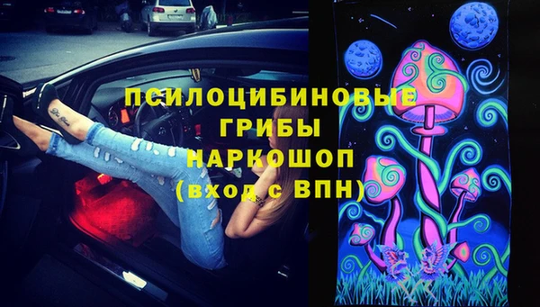 ГАЛЛЮЦИНОГЕННЫЕ ГРИБЫ Алексин