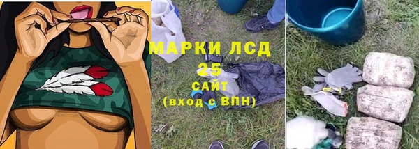 ГАЛЛЮЦИНОГЕННЫЕ ГРИБЫ Алексин
